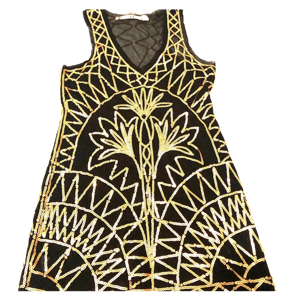 Mesh Mini dress or tunic